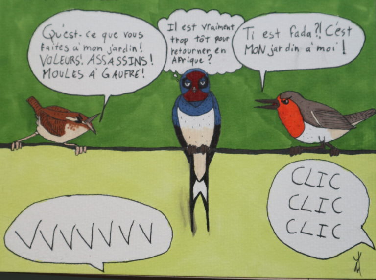 Une hirondelle fait le printemps – CPIE 72