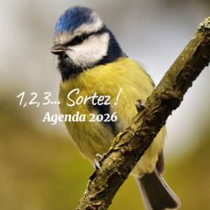 vignette-web-2026 vignette-web-2026