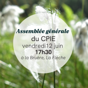 Visuel AG Visuel AG